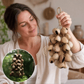 Pangi Breeze™ DIY Pangi Shell Wind Chime Kit